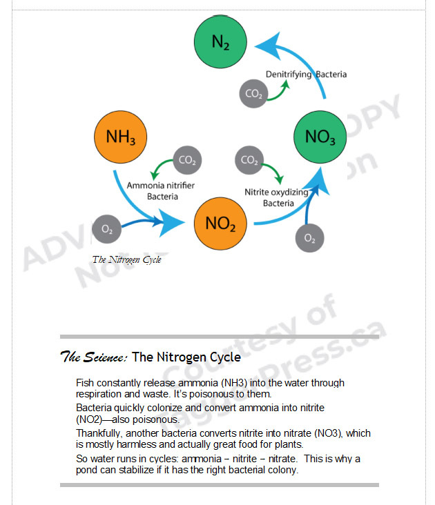 Plain language explanations, illustrated